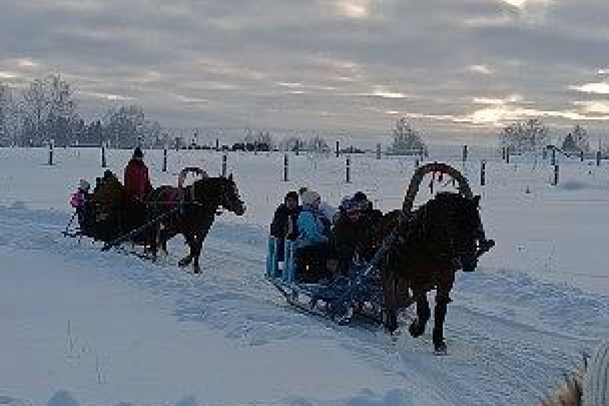 Новогодняя программа в конном клубе "Слобода" (для групп)