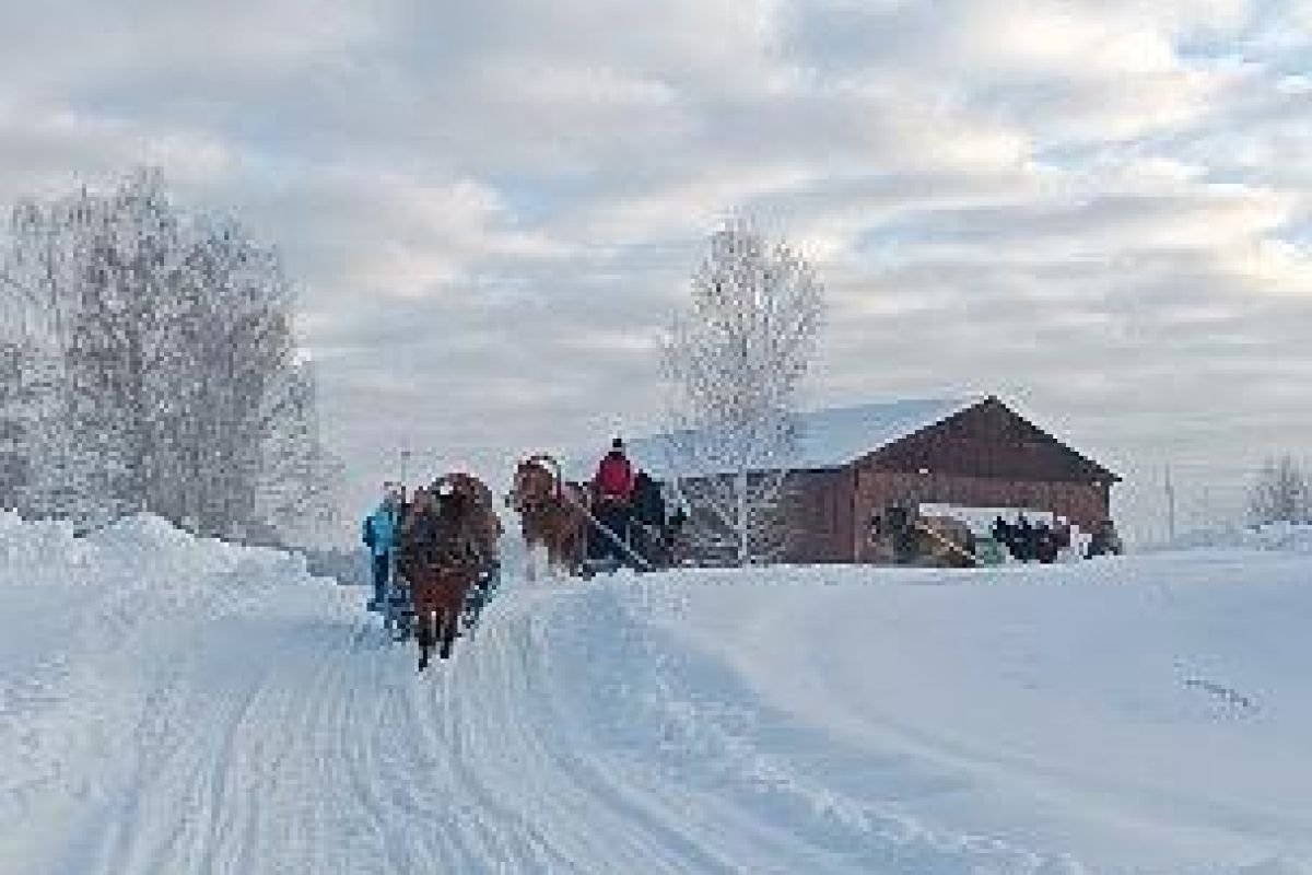 Новогодняя программа в конном клубе "Слобода" (для групп)
