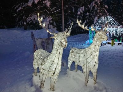 Новогодняя ночь в Ижевске 2027 (автобусный тур)