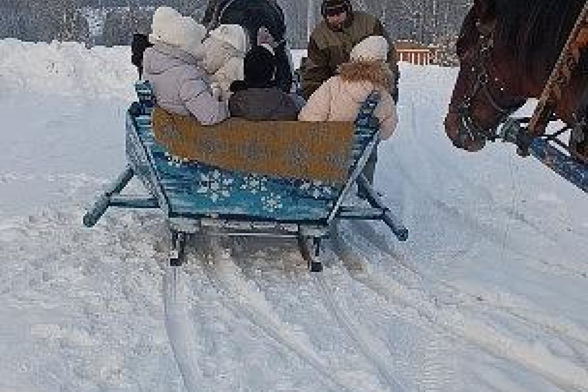 Новогодняя программа в конном клубе "Слобода" (для групп)