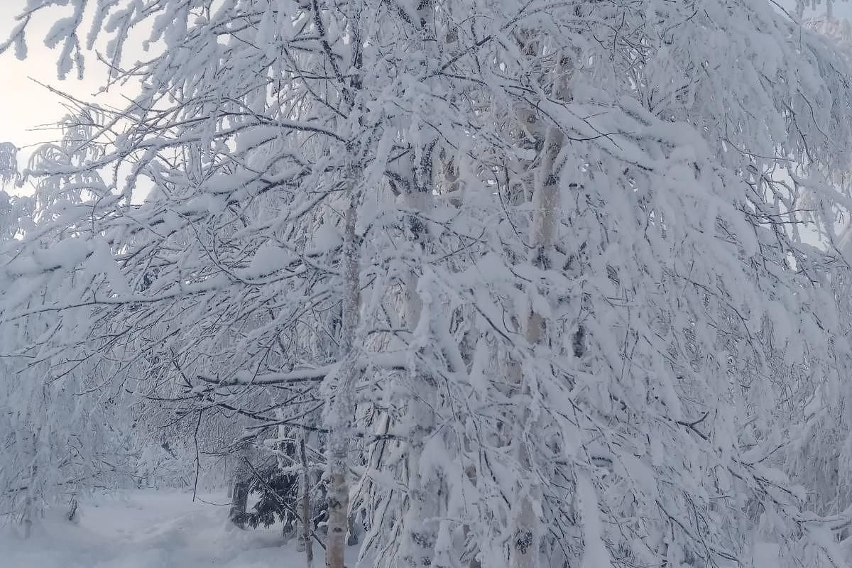 Усьвинские столбы (на снегоходах в санях) и Каменный город
