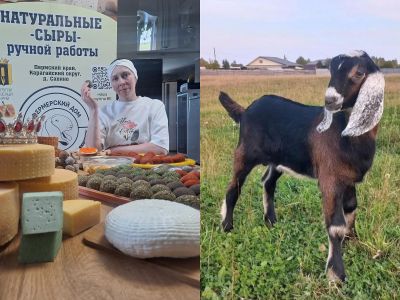 Гастрономическая экскурсия «День на ферме нубийских коз»