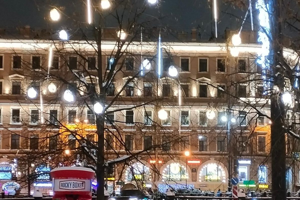 ЖД тур: Новогодние огни Петербурга, г. Санкт-Петербург, 4 дня