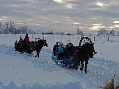 Новогодняя программа в конном клубе "Слобода" (для групп)